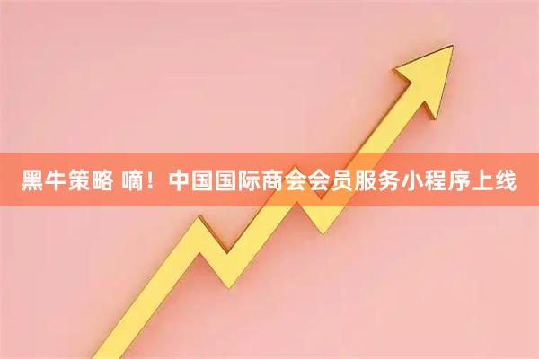 黑牛策略 嘀！中国国际商会会员服务小程序上线